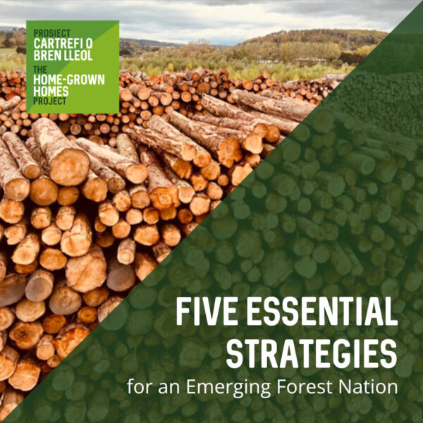 5-Essential-Strategies-for-an-Emerging-Forest-Nation