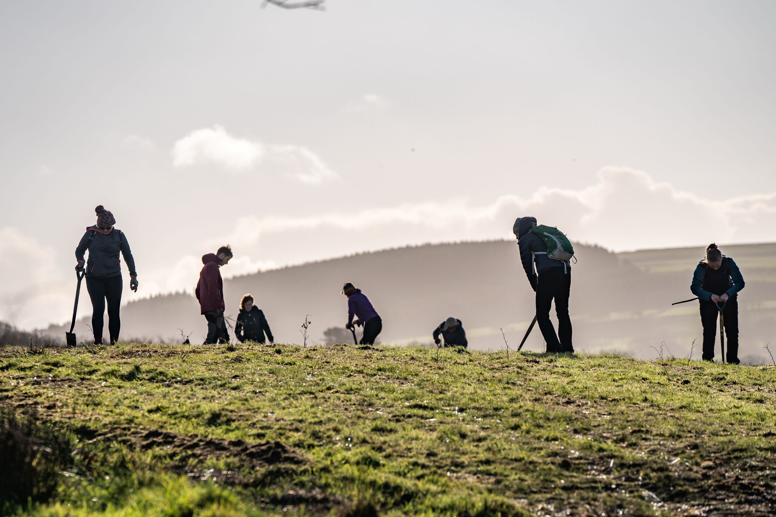 Woodland Trust receive certification to verify impacts on soil and water
