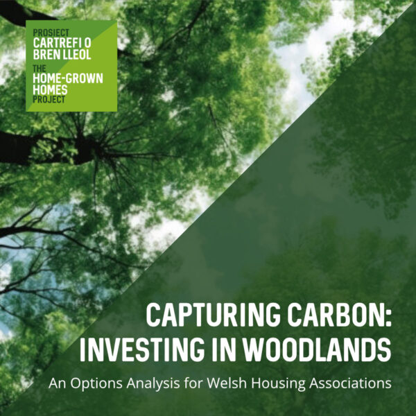 Capturing Carbon: Investing in Woodlands—An Options Analysis for Welsh Housing Associations