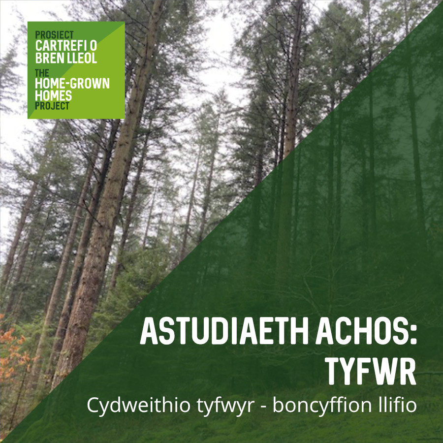 Astudiaeth Achos: Tyfwr