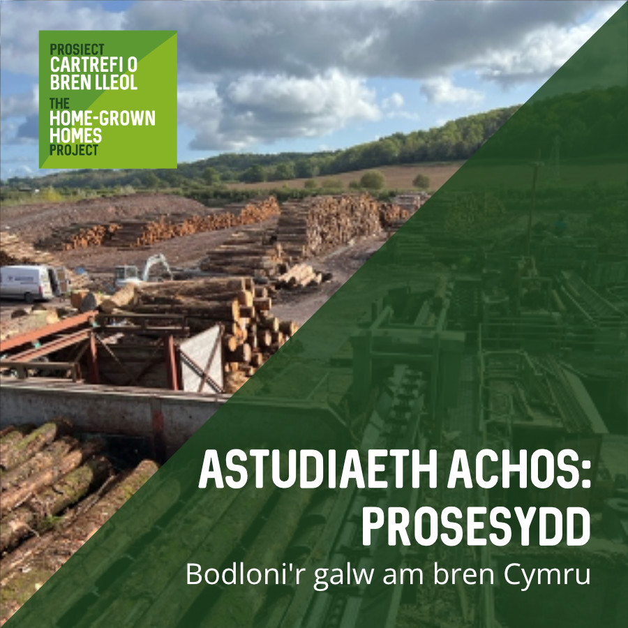 Astudiaeth Achos: Prosesydd