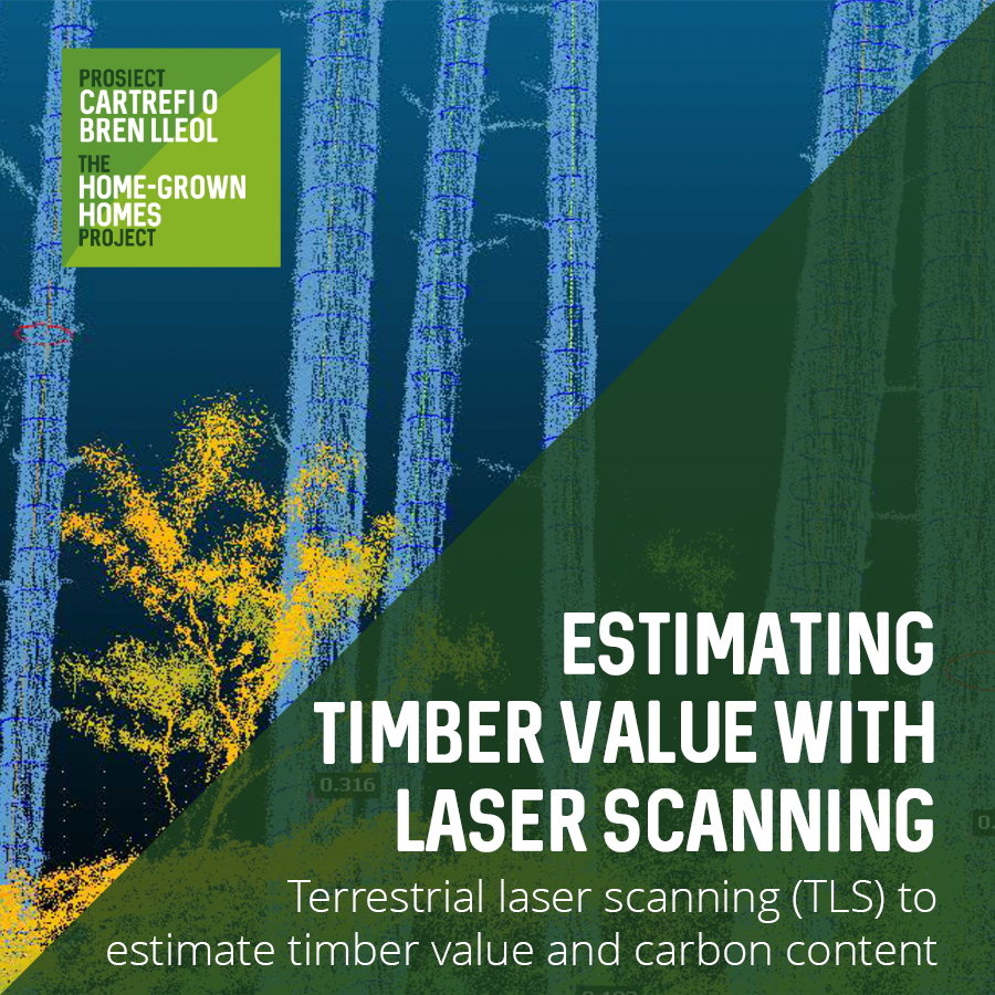 Estimating timber value and carbon in complex woodlands using laser scanning