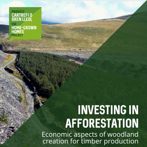 Investing-in-Afforestation