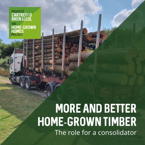 More and Better Home-Grown Timber—The role for a consolidator