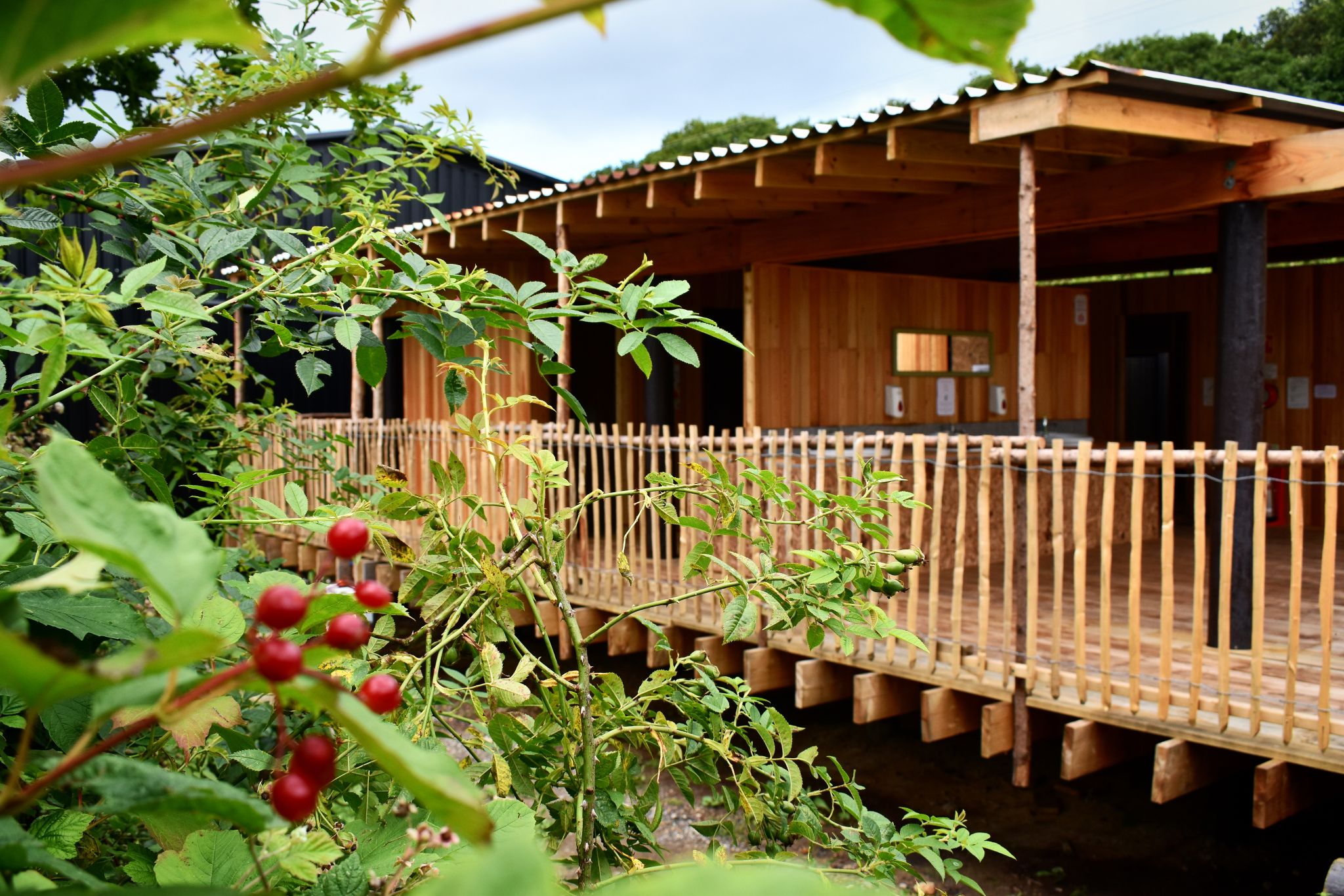 Toby Maclean shortlisted for two Structural Timber Awards