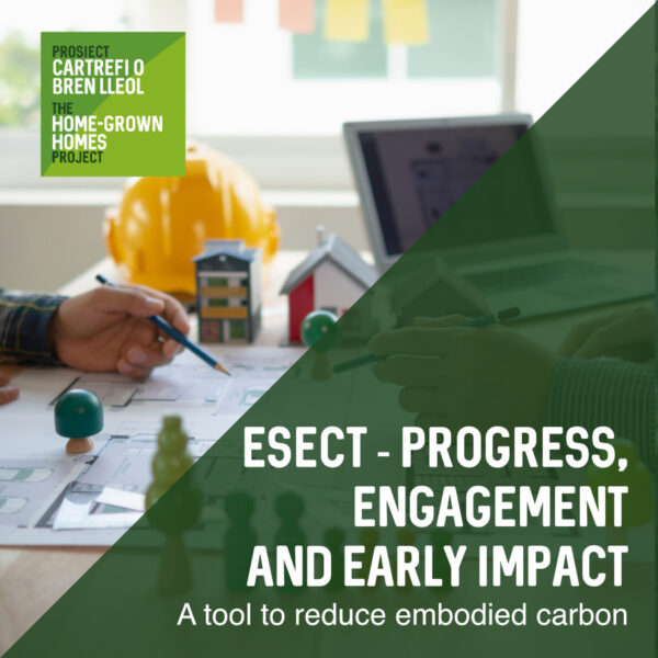 Understanding Woodknowledge Wales’ work to support the housing sector in reducing embodied carbon through the development and rollout of the Early Stage Embodied Carbon Tool (ESECT).
