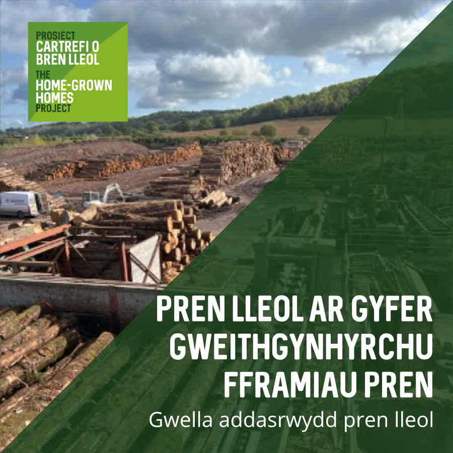 Deall Perfformiad Pren Lleol ar gyfer Gweithgynhyrchu Fframiau Pren