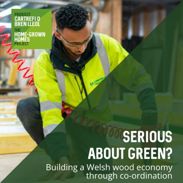 Serious About Green?—Building a Welsh wood economy through co-ordination