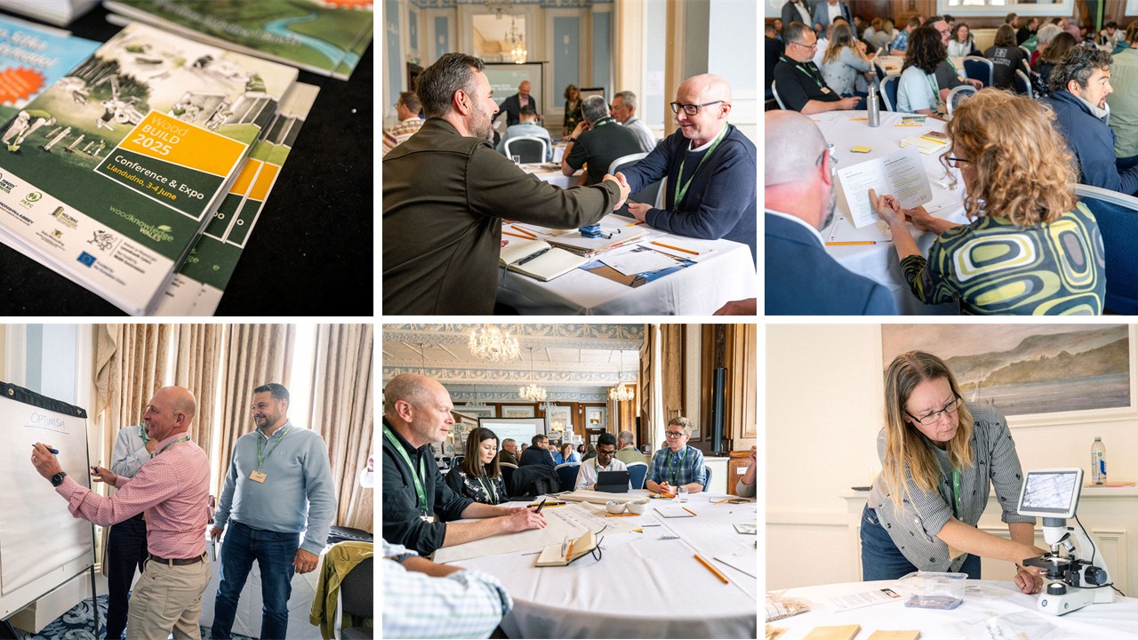 New position: Events Assistant