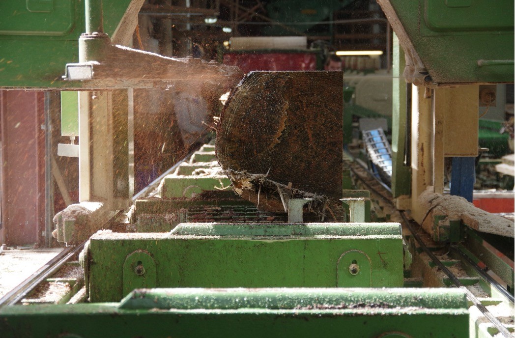 Insights from Woodknowledge Wales Small Sawmill Survey – October 2025