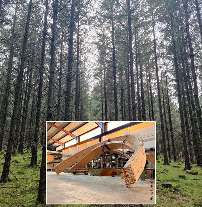 Timber Supply Chain Innovation and Resilience
