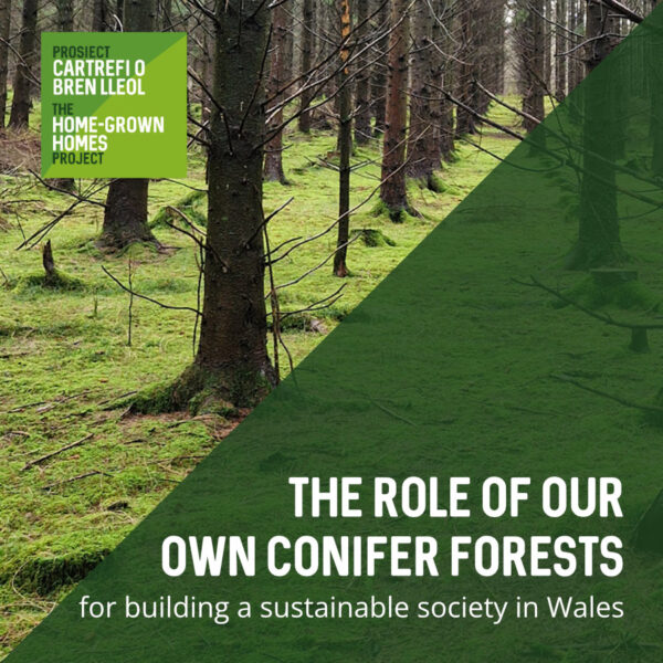 The role of our own conifer forests for building a sustainable society in Wales