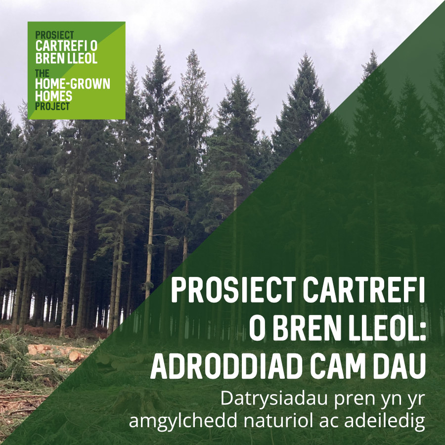Prosiect Cartrefi o Bren Lleol: Adroddiad Cam Dau